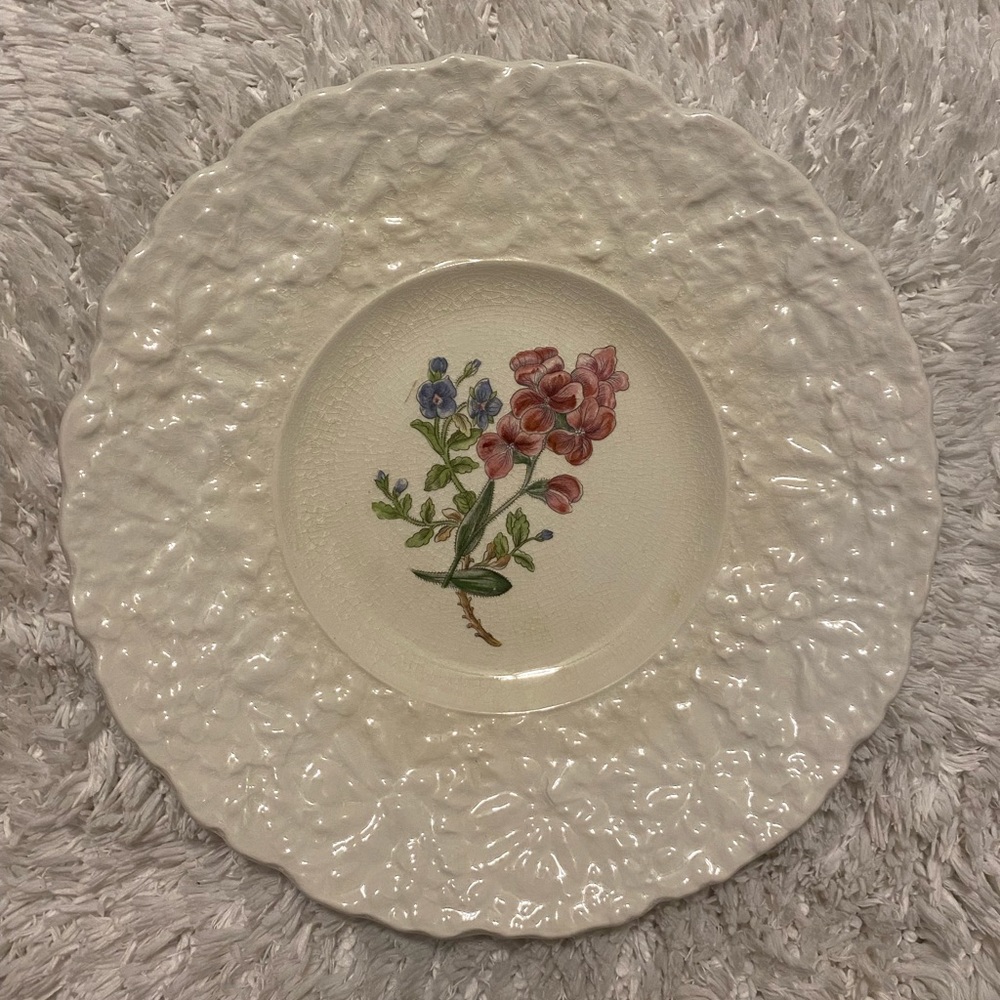 Royal Cauldon Bristol Ironstone Woodstock “Sweet Rocket” Floral Plate